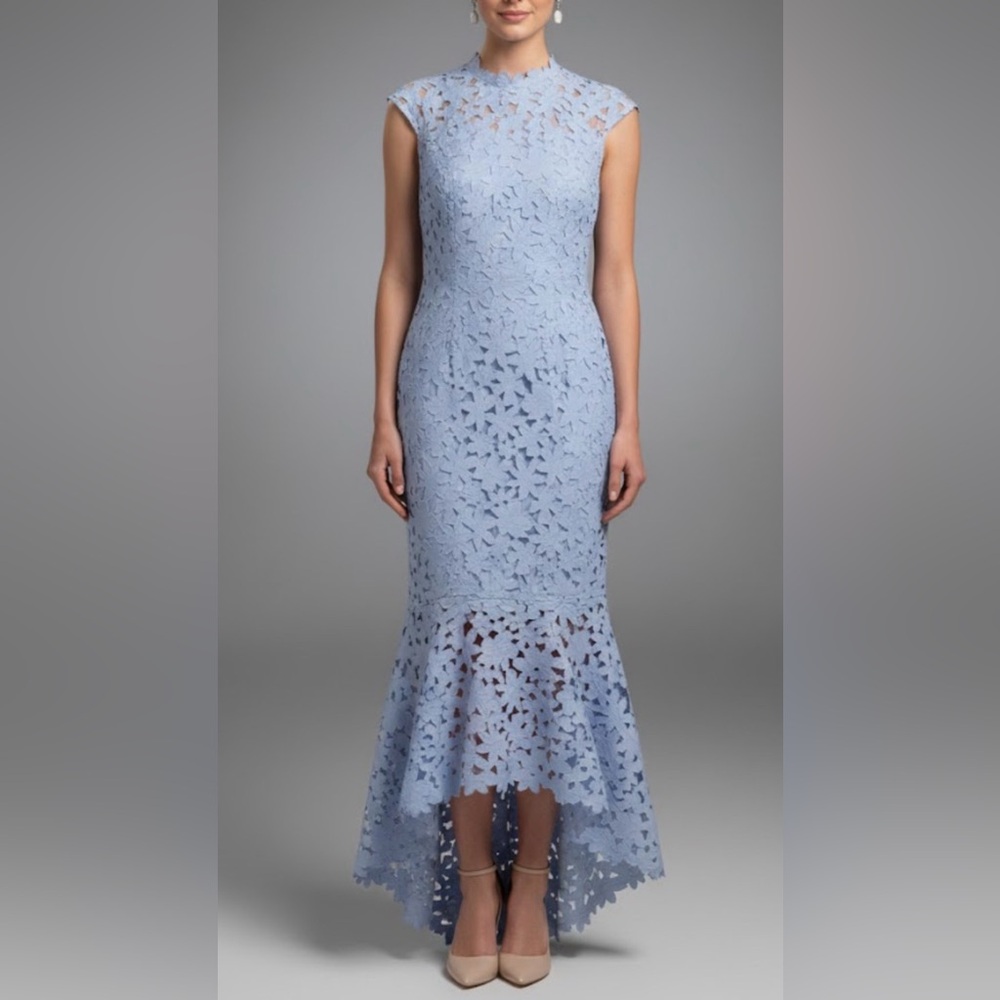 Chic Light Blue Lace Evening Gown
